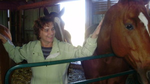 Reiki for horses