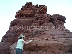 Sedona 2013. At the Knoll feeling the energy of the vortex